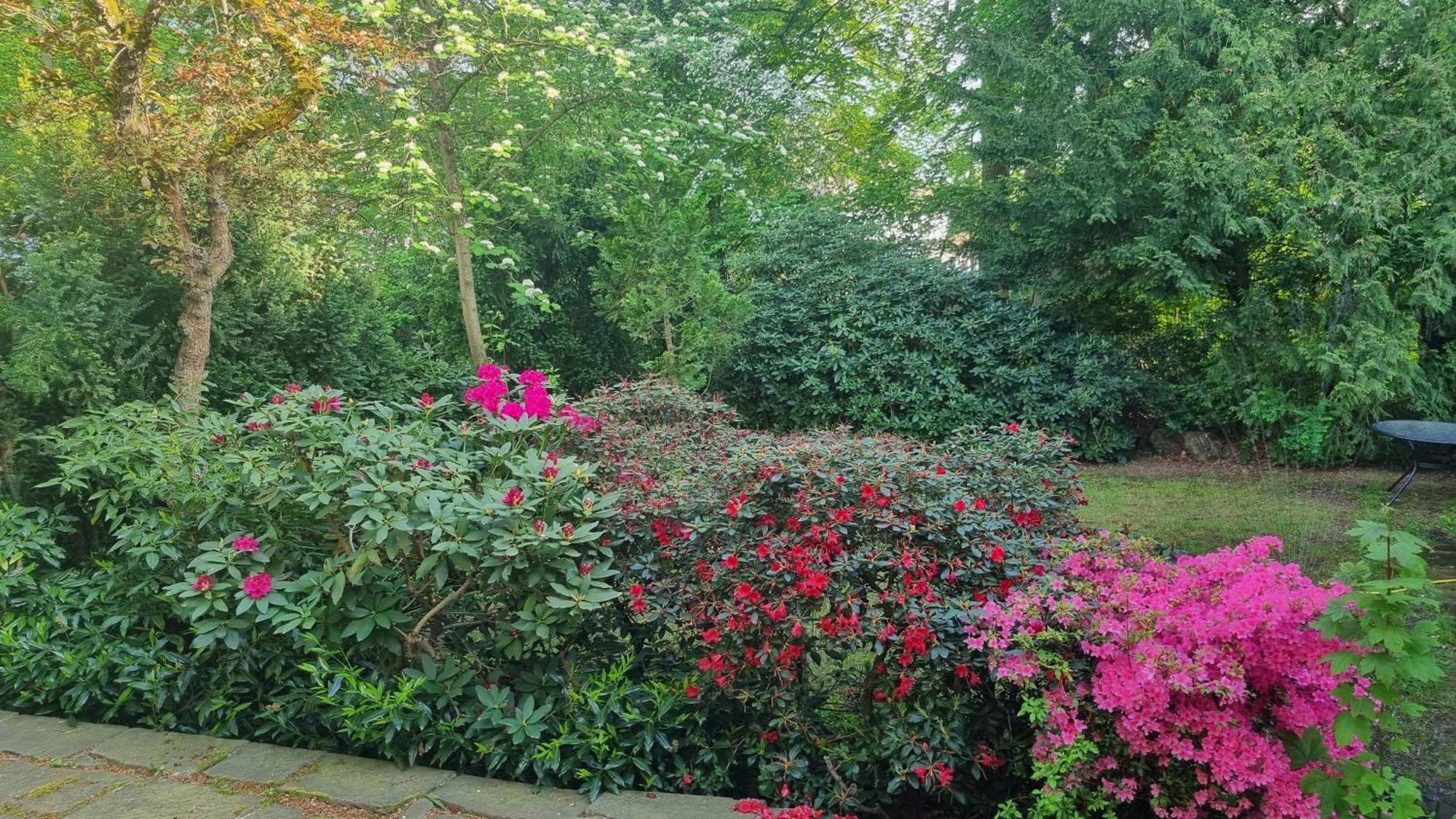 Bms Balance - Natur, Entspannung, King Size Bett, Free Parking, Top Lage, Netflix Wolfsburg Exterior photo